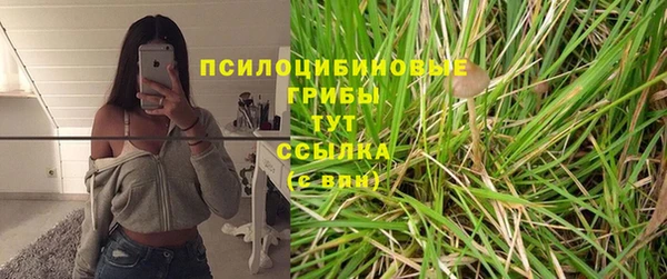 скорость Приозерск