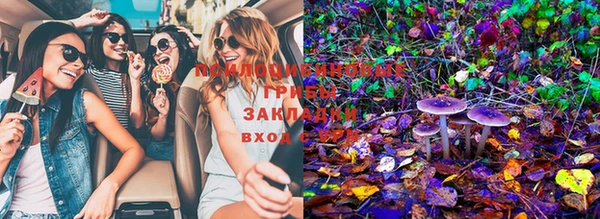 марки lsd Покачи